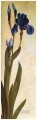 アイリス・トロイアナ・アルブレヒト・デューラーの古典的な花